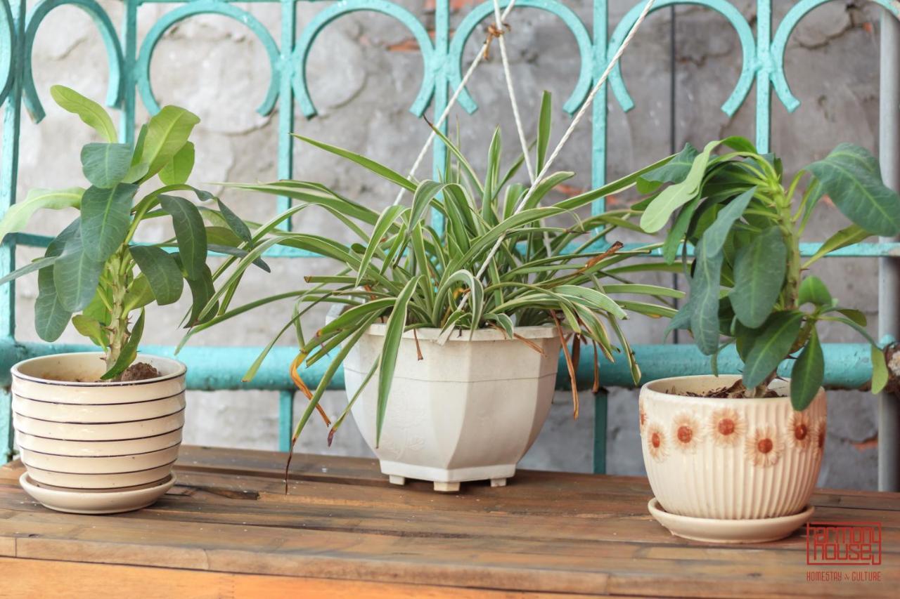 Harmony Homestay - Hanoi Homestay In Old Quarter Esterno foto